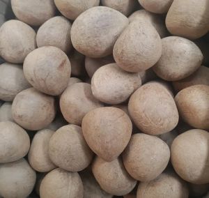 Dried Coconut