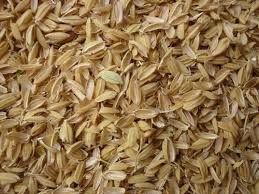 Rice Husk