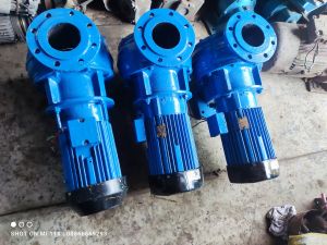 VEM Monoblock Sewage Pump