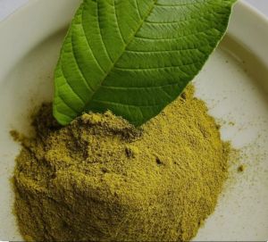 Guava Leaf Powder