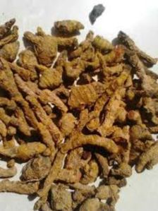 Wild Turmeric Finger