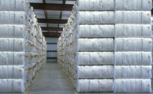 Cotton Bale