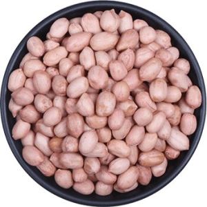 Groundnut