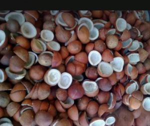 Dried Coconut Copra