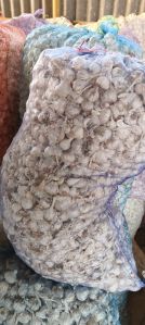 A Grade Garlic