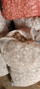 AA Grade Garlic