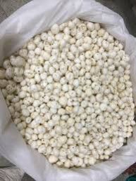 5 suta plus phool makhana