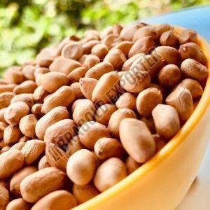 Farm Fresh Peanuts