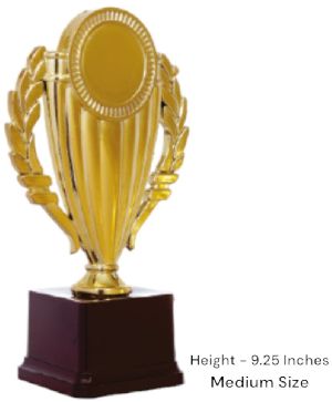ABS71 Medium Award Trophy