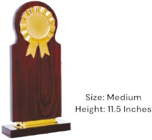 CP52 Medium Award Trophy