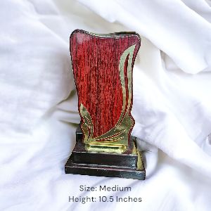 CP70 Medium Award Trophy