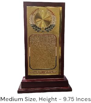 EC117 Medium Award Trophy