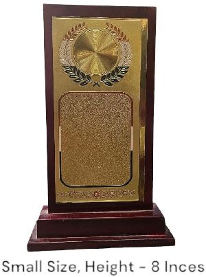 EC117 Small Award Trophy