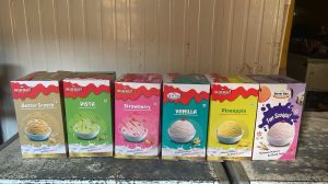 Ice Cream Bulk 5-Litre