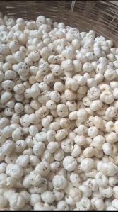 Raw Makhana