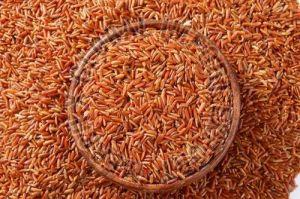 India Red Cargo Rice