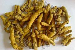 Lakadong Turmeric Finger