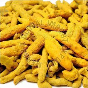 Sangli Turmeric Finger