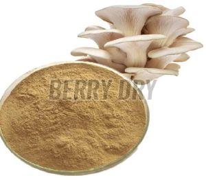 Mushroom Powder