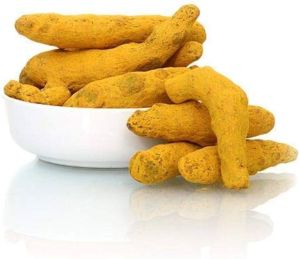 Salem Turmeric Finger