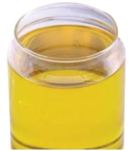 Ginger Rhizome Oil