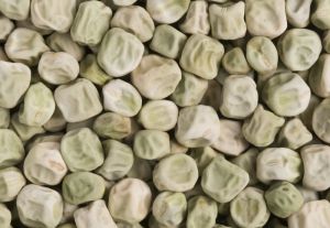 Peas PB-89 Seed