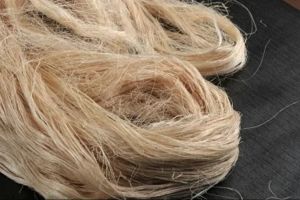 Raw Banana Fiber