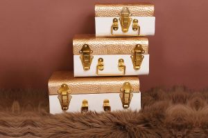 Golden and Ivory Trunk Set