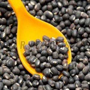 Black Matpe Beans