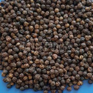 570G/L Cleaned Black Pepper Seeds