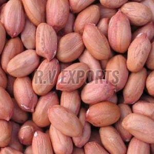 Bold Groundnut Seeds