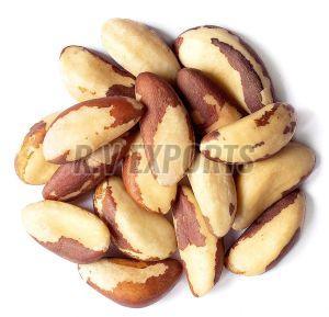 Brazil Nuts