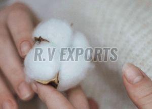 Ginned Raw Cotton