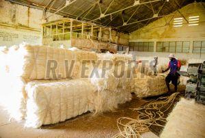 3L Grade Sisal Fiber