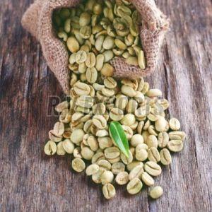 Green Coffee Beans