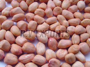 Java Groundnut Seeds