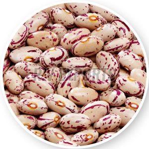 light speckled kidney beans