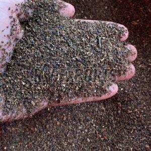 Pinhead 1.5-2mm Black Pepper Seeds