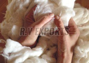 Natural Raw Cotton