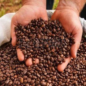 Robusta Coffee Beans