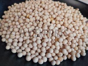 Soybean Seeds