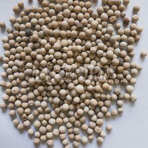 White Pepper Seeds