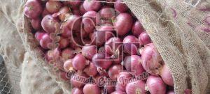 A Grade Red Onion