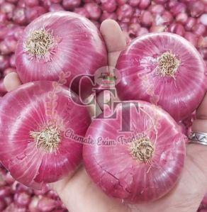 fresh red onion