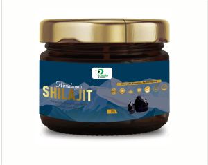 20gm Shilajit Resin