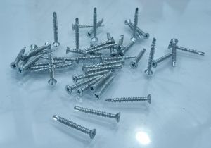 Galvanized Screw