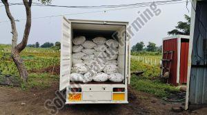 Liquid Vermiwash Fertilizer