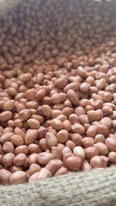 Groundnut Seeds