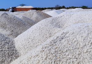 Common Industrial Salt
