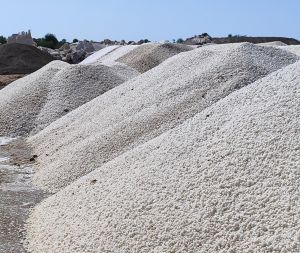 Common Industrial Salt